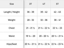 Load image into Gallery viewer, Gray Joggers
