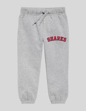 Load image into Gallery viewer, Gray Joggers
